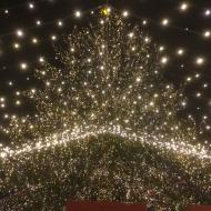 der große Baum mit LED Sternenhimmel über dem Weihnachtsmarkt am Kölner Dom (28.11.2017)