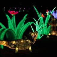neben Tieren werden auch Pflanzen nachgebildet - China Light-Festival im Kölner Zoo 2019/20