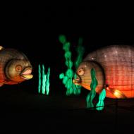 auch Unterwasserszene waren zu sehen - China Light-Festival im Kölner Zoo 2019/20