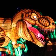 eine Dinosaurier-Szene zeigte diesen T-Rex, eine von den bewegenden Figuren - China Light-Festival im Kölner Zoo 2019/20