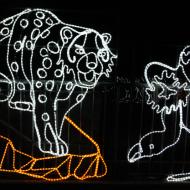 auch mit wenigen Lichtern lassen sich Tiere nachbilden - China Light-Festival im Kölner Zoo 2019/20