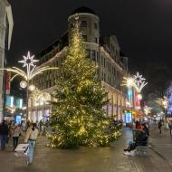 auf dem riesigen Weihnachtsbaum vor dem Kaufhof muß nicht verzichtet werden - Kölner Weihnachtsmärkte 2020 (12.12.2020)