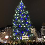 Strasbourg - Weihnachtsmarkt auf dem Place Kleber (04.12.2021) - Weihnachtsbäume 2021