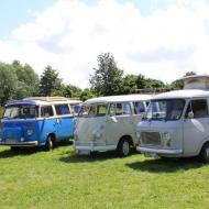 Campingbusse in verschiedensten Varianten - Oldtimer Picknick im Jülicher Brückenkopf-Park (26.06.2016)