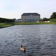 Schloss Augustusburg - auf den Bassins sind viele Enten zu finden (13.08.2016)