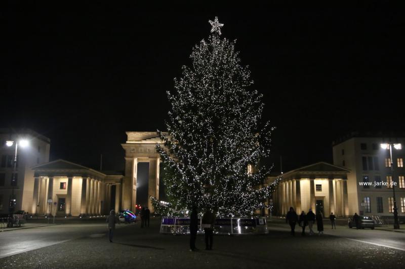 Pariser Platz vor dem Brandenburger Tor in Berlin (11.12.2021) - Weihnachtsbäume 2021