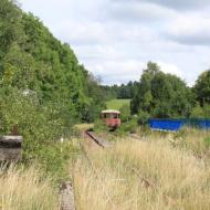 die zugewachsene Hochwaldbahn Strecke - aus Sicht vom Bahnhof Hermeskeil - hier ist noch ein leergeräumter Schienenbus (Beiwagen?) zu sehen - Dampflokmuseum Hermeskeil (09.08.2017)