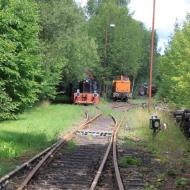 Blick von Geländetor auf das zugewachsene Gelände, zu sehen sind eine DR V60 und eine DR Köf - Dampflokmuseum Hermeskeil (09.08.2017)