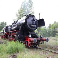 51 8177-9 unterwegs im Bw - Sommerfest im Bw Berlin Schöneweide (11.6.2022)