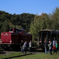 V100 1019 in Bundenthal-Rumbach - Plandampfzüge rund um Neustad/Weinstraße in der Pfalz (5.10.2022)