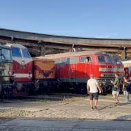 am Lokschuppen standen unter anderen 211 113-8, 119 158-4, 106 171-2, zwei DB 218er (mit 218 834-0), einer Noab von Strabag sowie verschiedene kleine Rangierloks - Dampflokfreunde Berlin / Berlin macht Dampf - Sommerfest 2025