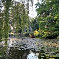 das Alpinum mit Seerosenteich ** Kölner Flora - die Eröffnung der neuen Schaugewächshäuser (Juni 2026)
