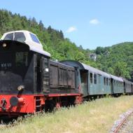 V36 123 an der Endstation Behringersmühle (04.06.2015)